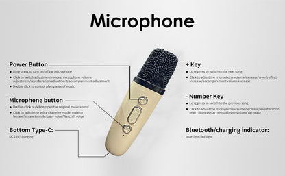 Mini Bluetooth Karaoke Machine with Wireless Mic & LED Lights – Portable Party Speaker for Kids & Adults